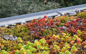 the cost of Trochry green roof installation