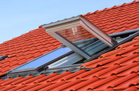 Trochry roof window